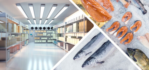 Refrigerator with fish. Industrial refrigerated warehouse. Freezer with boxes on shelves. Fresh...
