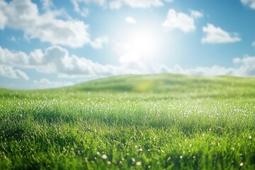 Obraz premium Lush green landscape under bright sky, showcasing vibrant grass