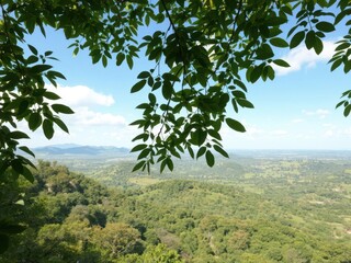 Obraz premium Lush green leaves frame vibrant landscape panorama, flora, bright green