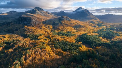 Fototapeta premium Breathtaking aerial view of autumn mountains surrounded by colorful forests. Nature showcases vibrant hues combined with majestic peaks. A serene landscape captured flawlessly. Generative AI