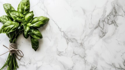 Fresh basil bunch on marble.