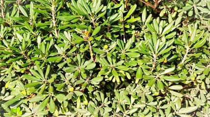 beautiful view of the sea coast