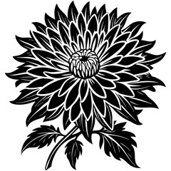 Fototapeta premium black and white flower isolated