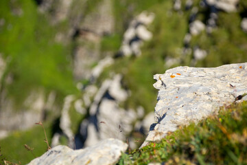 landscape in the mountains