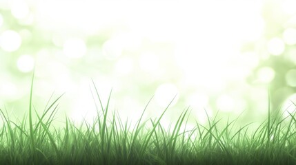 Fototapeta premium Paisaje verde con hierba y bokeh