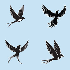 Flying Different types of bird collections on white background