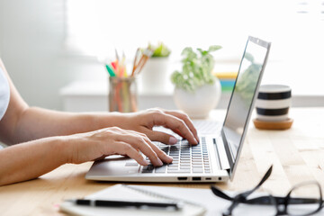 Freelancer business woman working using laptop