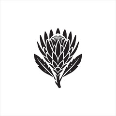 black and white flower