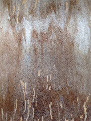 Obraz premium Close-up of greyish brown distressed wooden surface with natural wear and stains. Weathered outdoor organic material wall. Rustic and imperfect aged wood texture background.