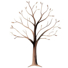 Obraz premium watercolor illustration of a cute little A tree without leaves.