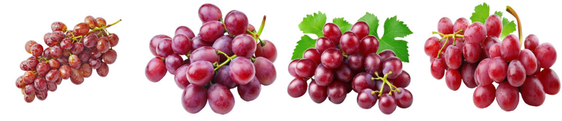 Fototapeta premium Red grape. A transparent PNG image of a grape branch.