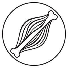 Icons pictogram muscle and bone, joint health, black. Ideal for informative and educational materials