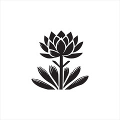 set of black and white flowers