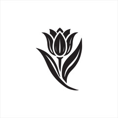 Fototapeta premium rose vector