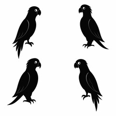 Fototapeta premium a set of birds with different designs on them
