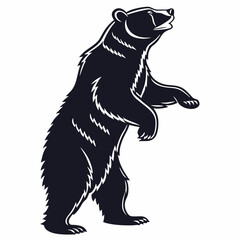 Bear vector silhouette black design white background