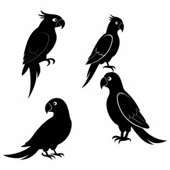 Fototapeta premium a set of birds with different designs on them