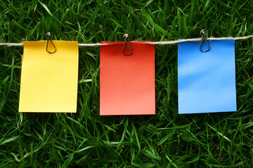 Vibrant Grass Background with Notes