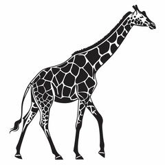 Naklejka premium Giraffe vector silhouette black design white background
