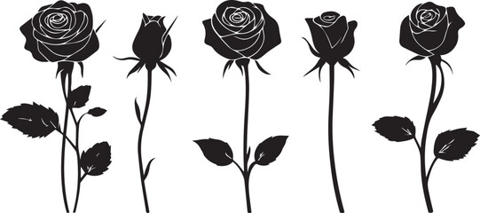 Rose silhouette set on a white background
