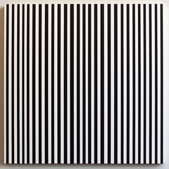 Abstract Black and White Stripes