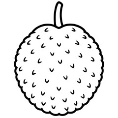 Lychee line art vector
