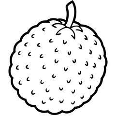 Lychee line art vector