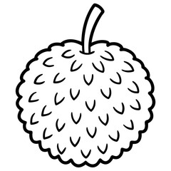 Lychee line art vector