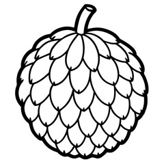 Lychee line art vector