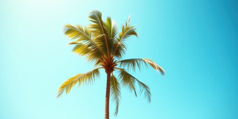 Single palm tree against a vibrant blue sky, a symbol of tropical serenity and summer vacation