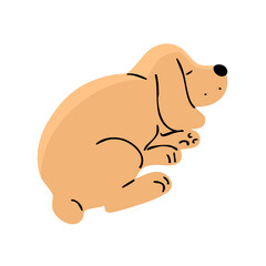 Cute spaniel dog is sleeping. A pet is a friend. Little cheerful puppy. Animal character. Cartoon vector illustration isolated on white background