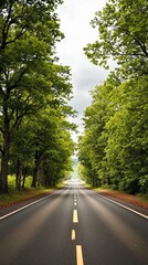 Fototapeta premium Road stretching into distance with trees and cloudy sky