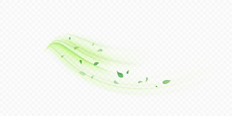 Obraz premium Green air flow effect with flying mint, tea leaves. Bright green swirl isolated on white background PNG, vector abstract illustration for advertising, drinks, food and cosmetics.