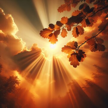 292 Sunbeams Warm light rays filtering through clouds or leaves