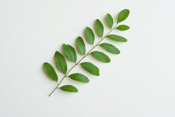 Elegant Green Leaves Arrangement on a Light Background: A Fresh and Natural Aesthetic