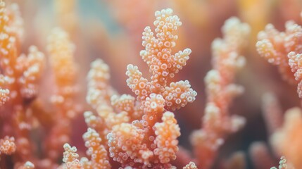Fototapeta premium Close-Up of Colorful Coral with Intricate Details, AI generated illustration