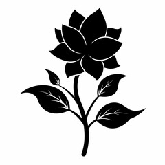 Blooming Beauty black silhouette vector