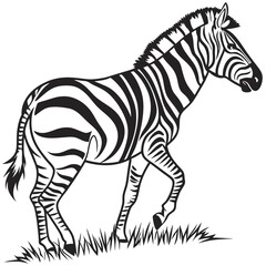 Zebra vector silhouette black design white background