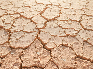Cracked dry earth texture from drought-stricken arid land