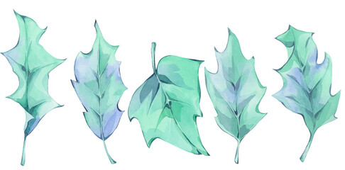 Holly Leaves. Holly. Leaves. Watercolor