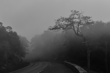 Shenandoah National Park in autumn foliage - Virginia, United States