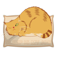 Fat ginger cat sleeps on a pillow with the text sleep is my job, vector image
