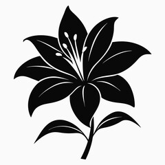 Lily Serenity black silhouette vector
