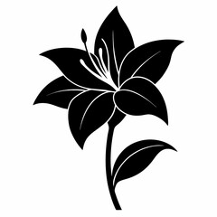 Lily Serenity black silhouette vector