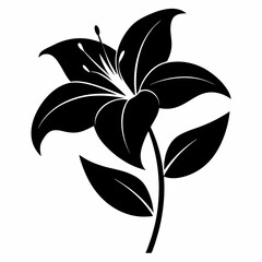 Lily Serenity black silhouette vector