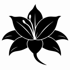 Lily Serenity black silhouette vector