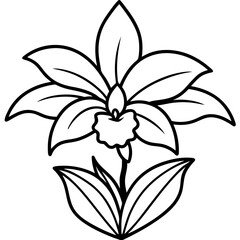 Orchid Oasis line art art vector