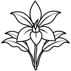 Orchid Oasis line art art vector