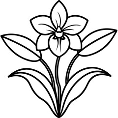Orchid Oasis line art art vector