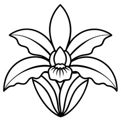 Orchid Oasis line art art vector